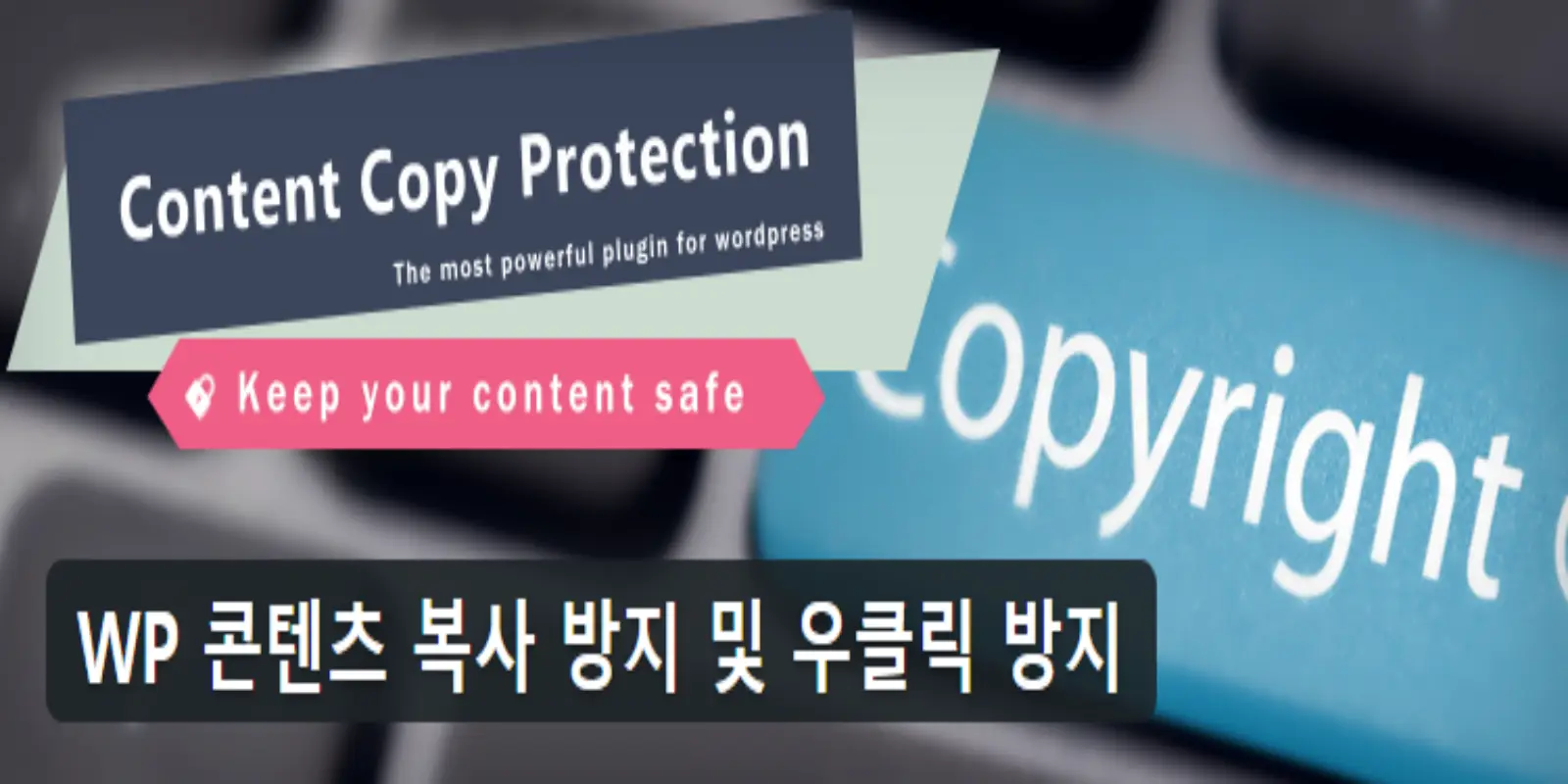 워드프레스 콘텐츠 복사 방지 및 우클릭 방지